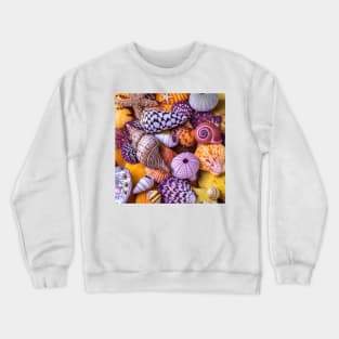 seashell Crewneck Sweatshirt